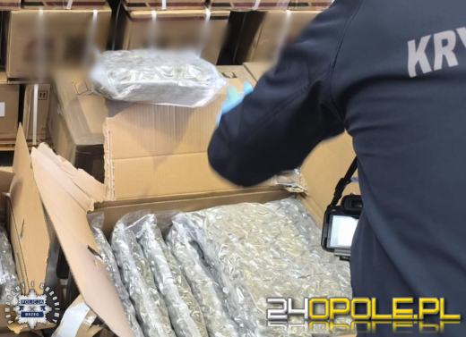 Policjanci zabezpieczyli marihuanę wartą 2,5 miliona złotych