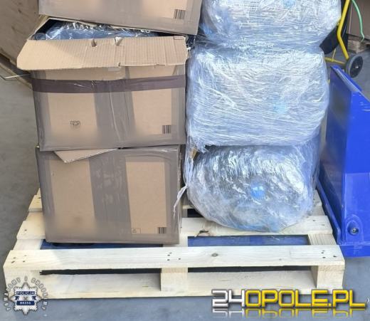 Policjanci zabezpieczyli marihuanę wartą 2,5 miliona złotych