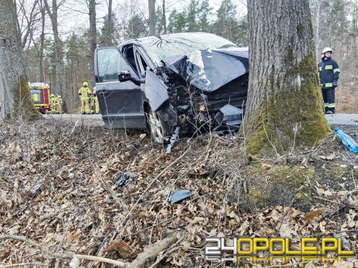 Samochód uderzył w drzewo na drodze Kup - Murów. Dziecko zabrał LPR