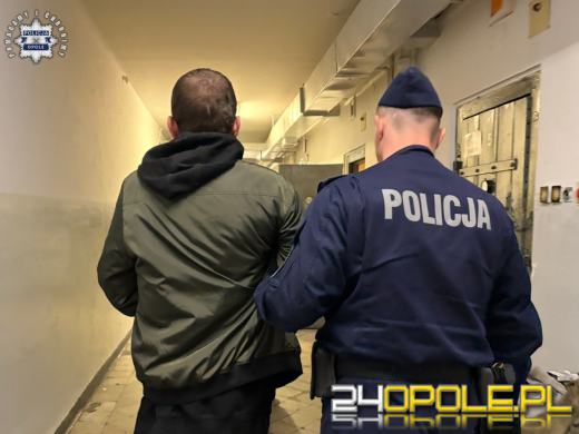 Pijany kierowca uderzył w drzewo. Dziecko w ciężkim stanie, sprawca trafił do aresztu