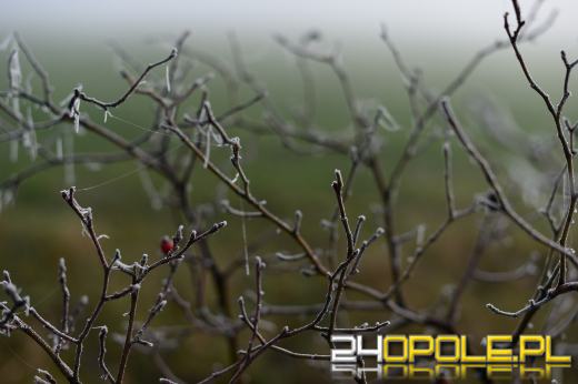 IMGW wydał ostrzeżenie dla Opolszczyzny