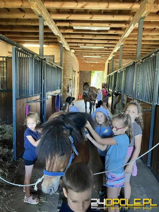 Pomagają zwierzętom i uczą dzieci blisko natury. Teraz sami proszą o wsparcie