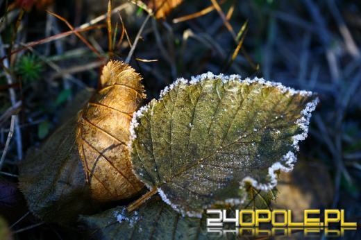 Przymrozki w części regionu. IMGW wydał ostrzeżenie dla trzech powiatów
