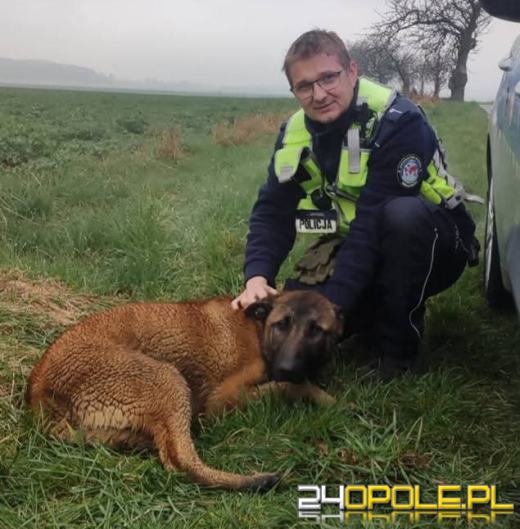 Policja prosi o pomoc w odnalezieniu właściciela