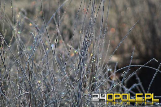 Przymrozki w regionie. IMGW wydał ostrzeżenie dla trzech powiatów