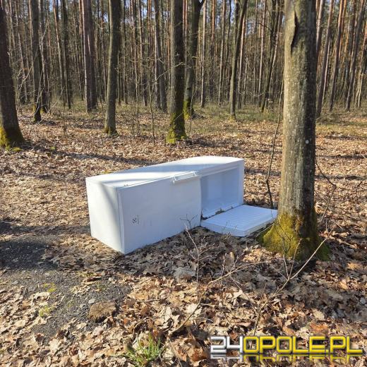 Las to nie składowisko AGD. Lodówka porzucona przy drodze