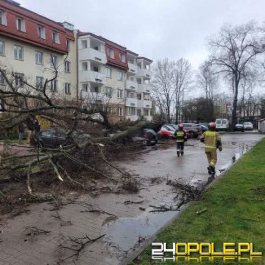 Ponad 120 interwencji podczas świąt. Strażacy podsumowali działania na Opolszczyźnie