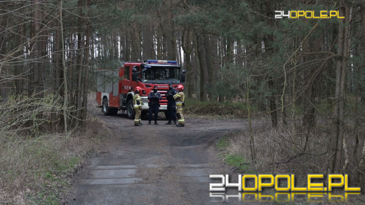 Dron odnaleziony w lesie pod Strzelcami Opolskimi. Sprawę bada Żandarmeria Wojskowa