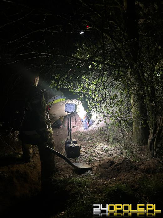 Kilkugodzinna akcja strażaków. Zwierzę utknęło pod ziemią