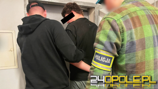 Wyrok za rasistowską agresję na stadionie w Opolu. Sprawa trafi do apelacji