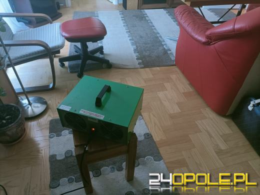 Samotna śmierć w Opolu - co dzieje się z mieszkaniem i kto odpowiada za sprzątanie?