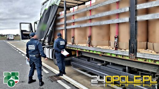 Kontrole przewozu materiałów niebezpiecznych w regionie. Wykryto nieprawidłowości