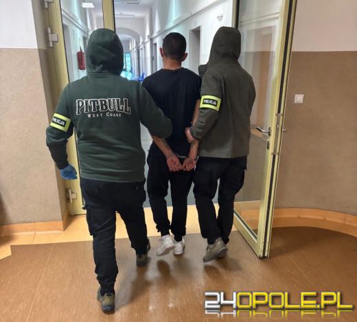 Obywatele Czech odpowiedzą za kradzieże, posiadanie narkotyków i niebezpiecznych przedmiotów