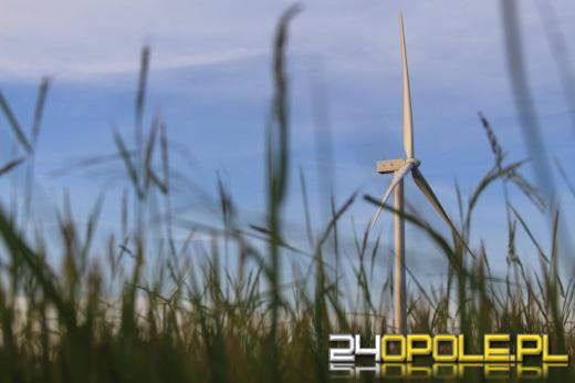 Zielona energia jako element nowoczesnego biznesu