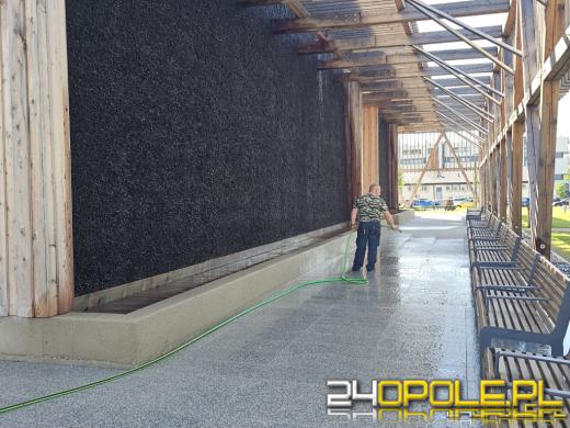 Tężnia zamknięta przed majówką. Trwa wymiana solanki