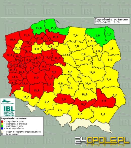 Pożar ściółki leśnej. Służby apelują o ostrożność