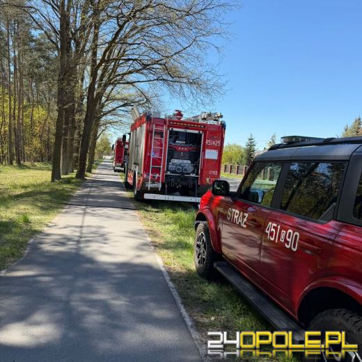 Pożar ściółki leśnej. Służby apelują o ostrożność