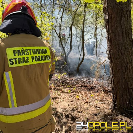 Pożar ściółki leśnej. Służby apelują o ostrożność