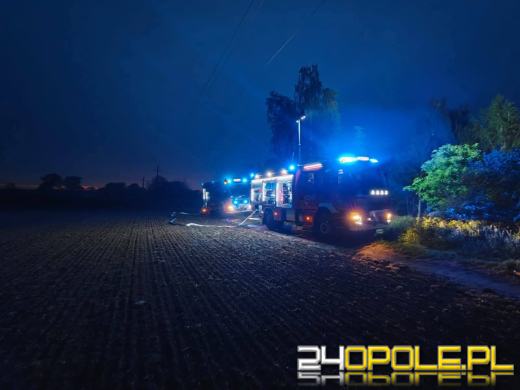 Pożar w Jaśkowicach. W ogniu zginęło 10 psów