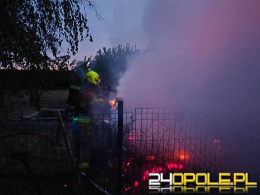 Pożar w Jaśkowicach. W ogniu zginęło 10 psów