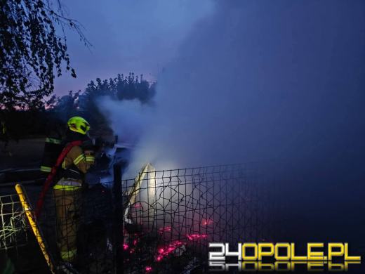 Pożar w Jaśkowicach. W ogniu zginęło 10 psów