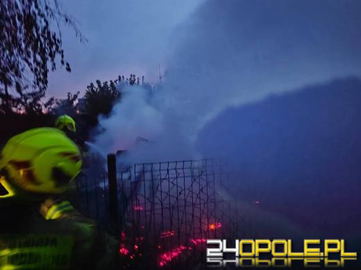 Pożar w Jaśkowicach. W ogniu zginęło 10 psów