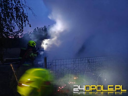 Pożar w Jaśkowicach. W ogniu zginęło 10 psów