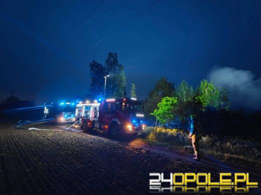 Pożar w Jaśkowicach. W ogniu zginęło 10 psów