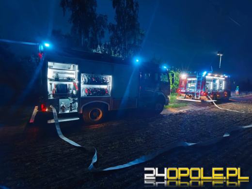 Pożar w Jaśkowicach. W ogniu zginęło 10 psów