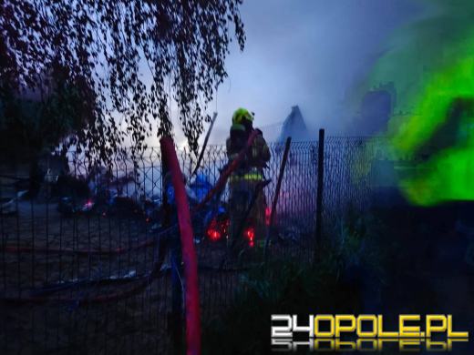 Pożar w Jaśkowicach. W ogniu zginęło 10 psów