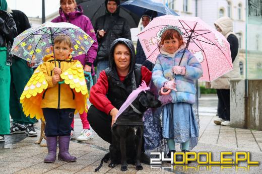 Parada kundelków przeszła przez centrum Opola mimo deszczu