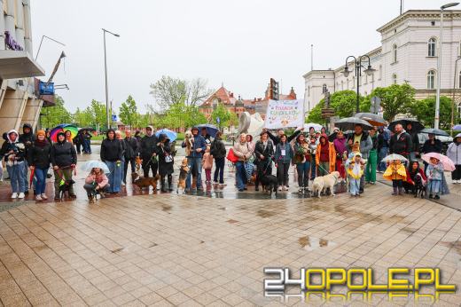 Parada kundelków przeszła przez centrum Opola mimo deszczu
