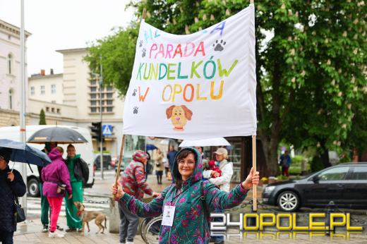 Parada kundelków przeszła przez centrum Opola mimo deszczu