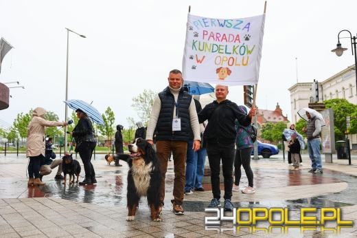 Parada kundelków przeszła przez centrum Opola mimo deszczu
