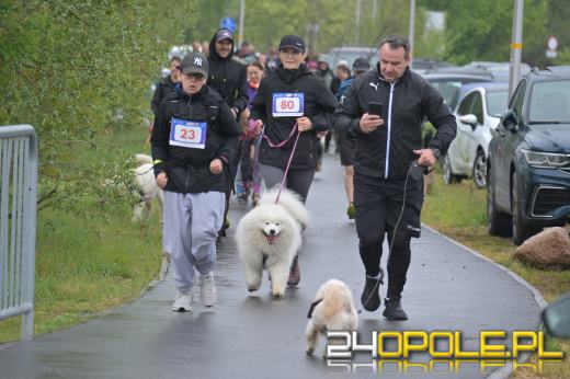 Mimo niesprzyjającej pogody frekwencja dopisała
