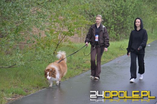 Mimo niesprzyjającej pogody frekwencja dopisała