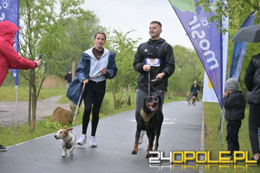 Mimo niesprzyjającej pogody frekwencja dopisała