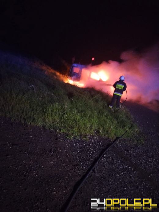 Samochód spłonął przy DK40. Strażacy interweniowali w rejonie Ujazdu