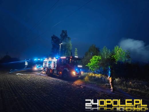 Kilkanaście psów spłonęło żywcem - policjanci wyjaśniają okoliczności zdarzenia