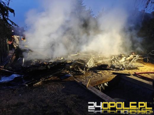 Kilkanaście psów spłonęło żywcem - policjanci wyjaśniają okoliczności zdarzenia