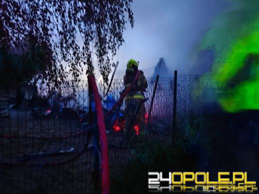 Kilkanaście psów spłonęło żywcem - policjanci wyjaśniają okoliczności zdarzenia