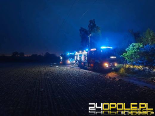 Kilkanaście psów spłonęło żywcem - policjanci wyjaśniają okoliczności zdarzenia