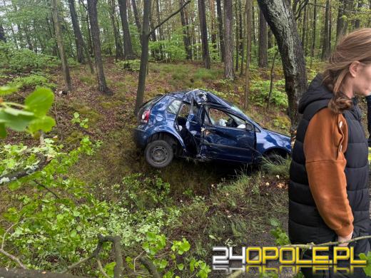 Samochód wypadł z drogi między Jełową a Dąbrówką Łubniańską