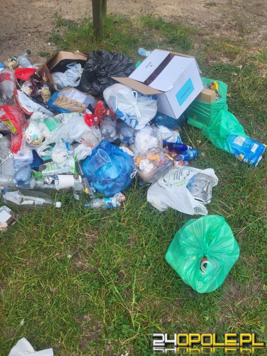 Artykuł czytelnika: Wraca problem na Kamionce Bolko. Temat pojawia się co roku