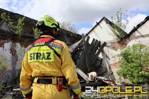 Katastrofa budowlana w Prudniku? Służby sprawdzały gotowość w wymagającym scenariuszu