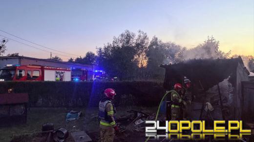 Pożar altany na terenie ogródków działkowych. Wcześniej doszło do eksplozji urządzenia