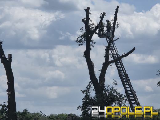 Trwa zabezpieczanie budynków i szacowanie strat. Co dalej?  WIDEO