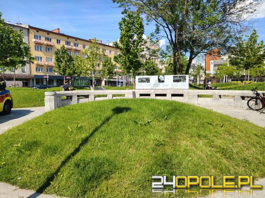 Kora wraca do Opola. Miasto odsłoni nowy pomnik artystki