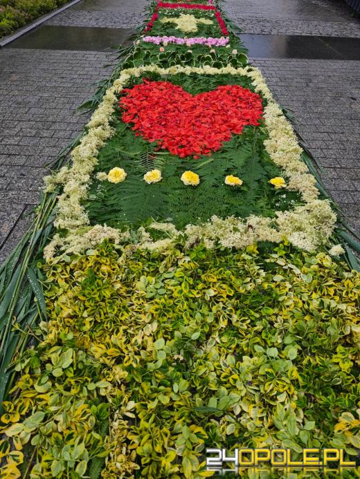 Jedna z najbardziej niezwykłych tradycji na Opolszczyźnie. Zobaczcie kwietne dywany