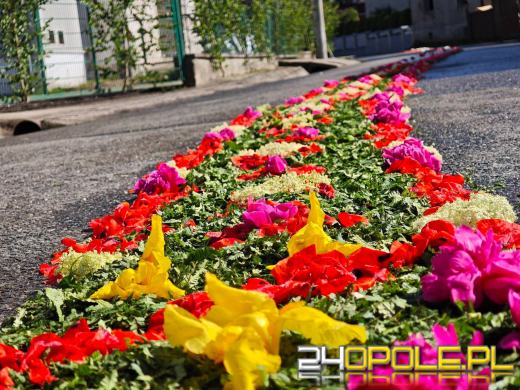 Jedna z najbardziej niezwykłych tradycji na Opolszczyźnie. Zobaczcie kwietne dywany